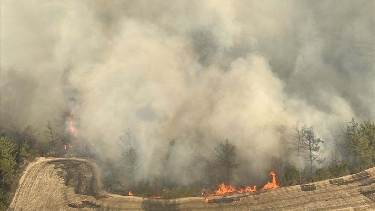 Adana İmamoğlu'nda Orman Yangını — Havadan ve Karadan Müdahale