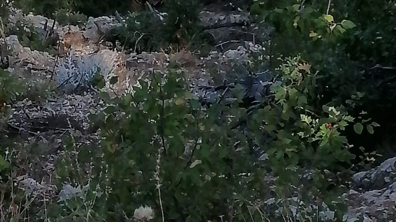 Adana Saimbeyli'de Uçuruma Yuvarlanan Otomobilde 2 Kişi Öldü