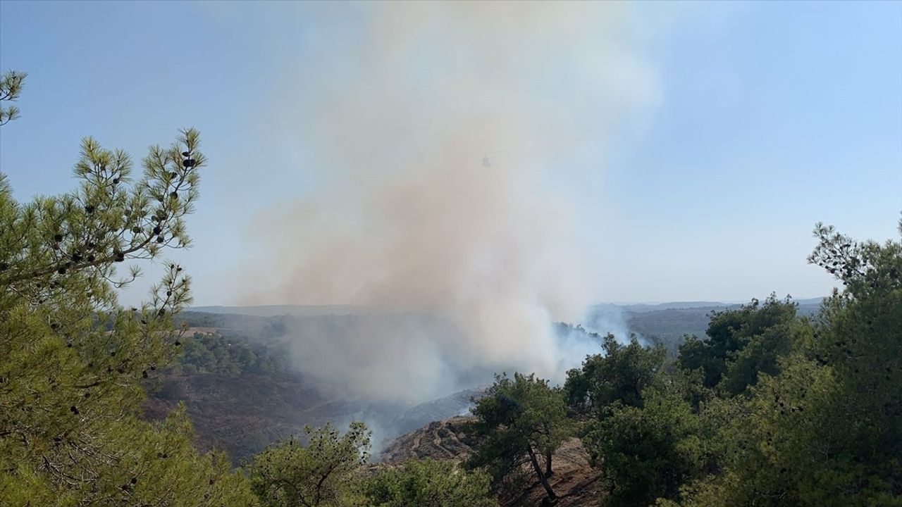 Adana Sarıçam'da Orman Yangını — Havadan ve Karadan Müdahale Sürüyor