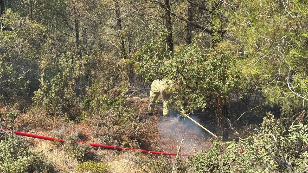Adana Sarıçam'da Orman Yangını Kontrol Altına Alındı