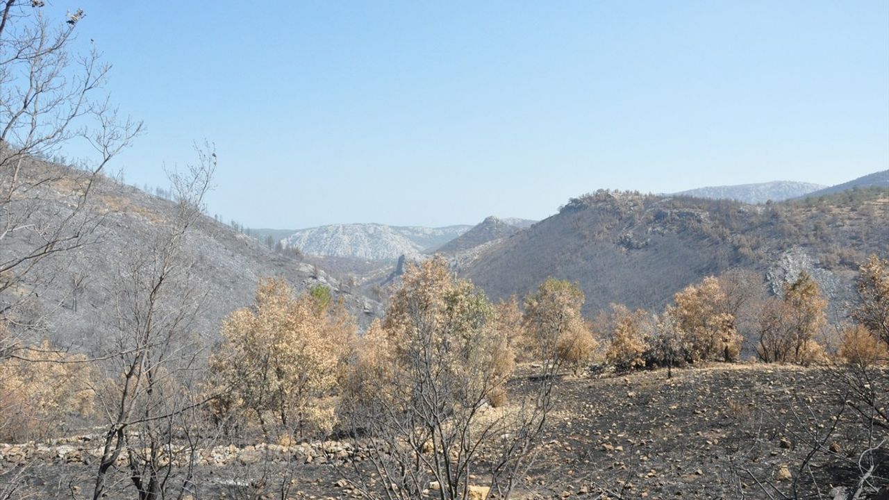 AFAD Başkanı Pehlivan: Silifke, "Genel Hayata Etkili Afet Bölgesi" İlanına Uygun