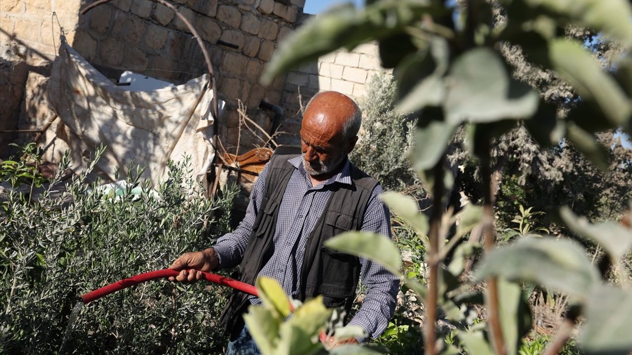Afrin'de Binlerce Aile Evlerine Dönmenin Sevincini Yaşıyor