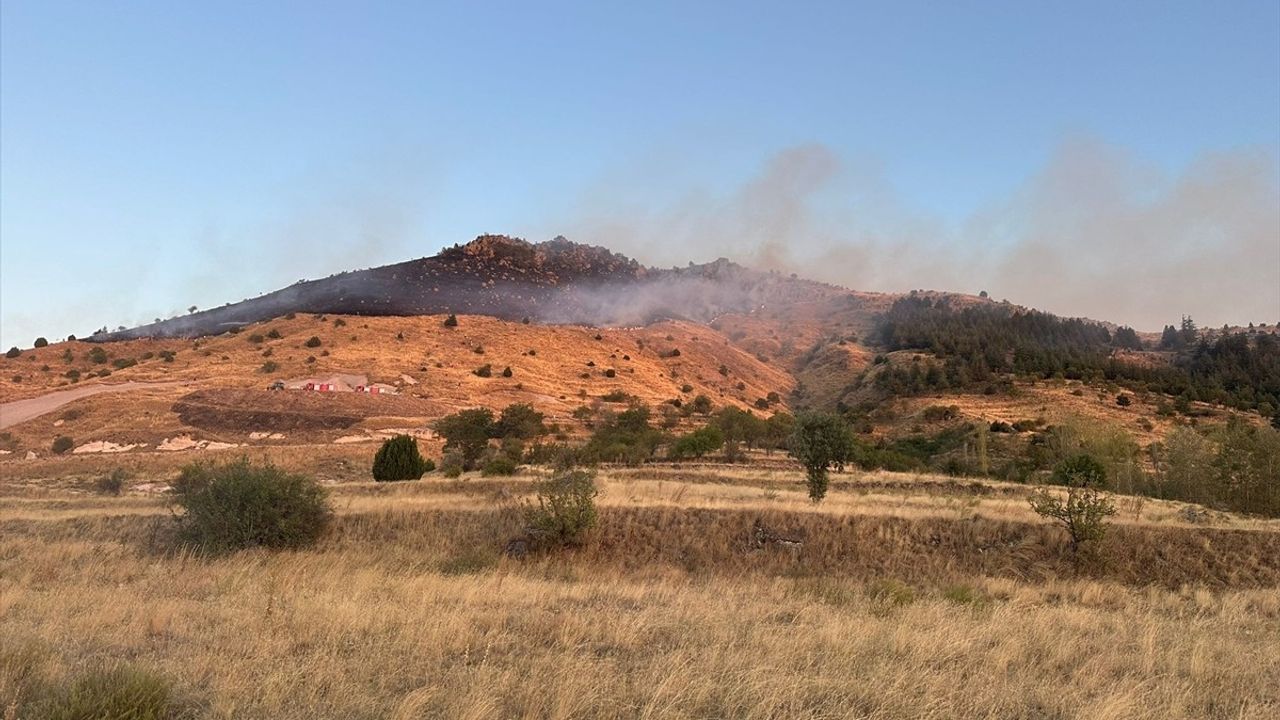 Afyonkarahisar Bolvadin'de Örtü Yangını — Ekipler Müdahale Ediyor