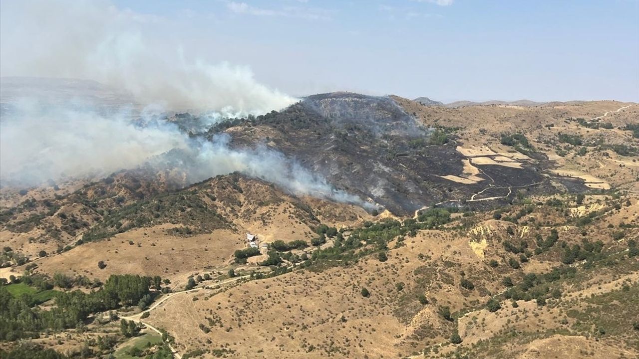 Afyonkarahisar Sinanpaşa'da Örtü Yangını Söndürüldü — 20 Hektar Zarar
