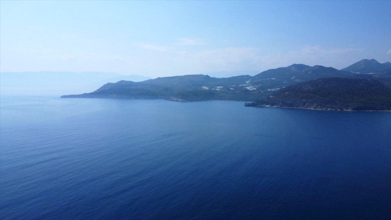 Akdeniz Tropikalleşiyor: Deniz Suyu 31-32 derece, Kızıldeniz Türleri Yayılıyor