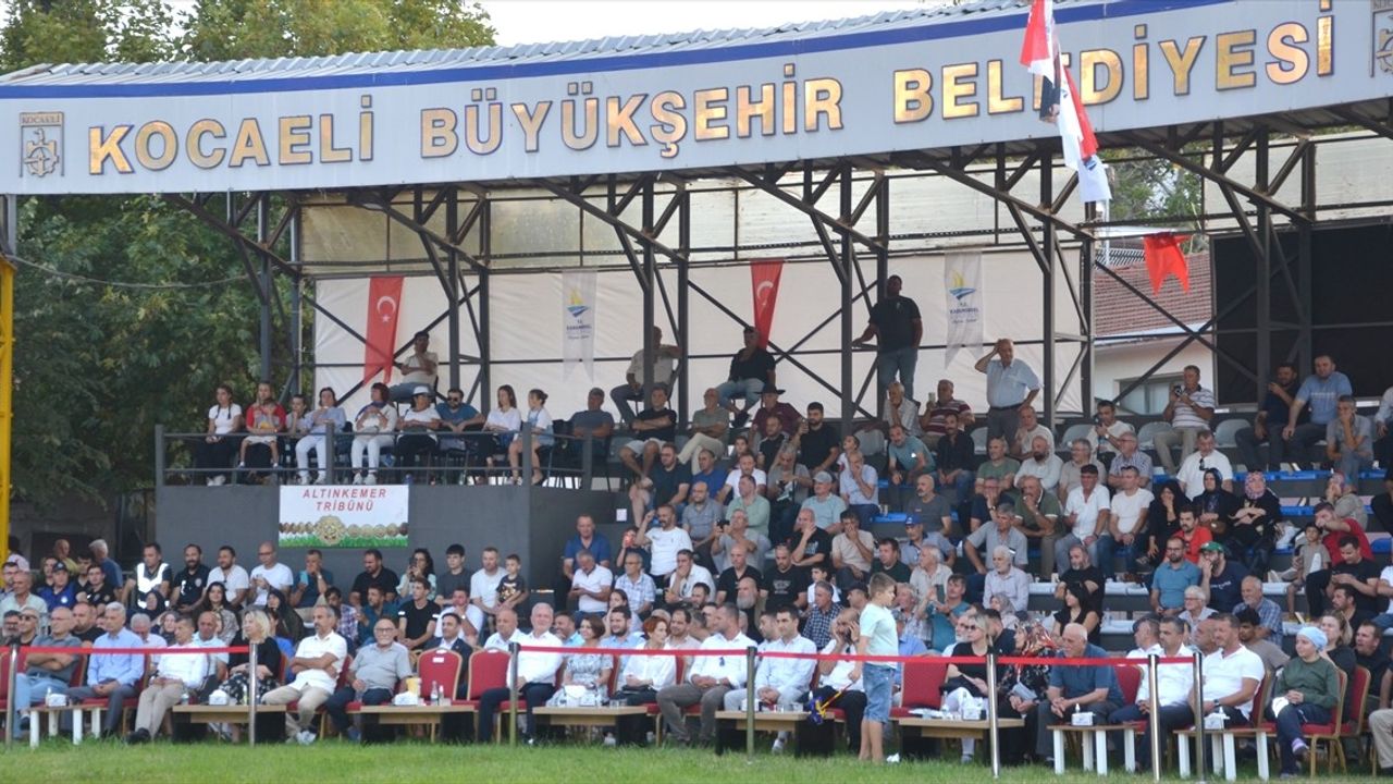 Ali Gürbüz, 41. Karamürsel Yağlı Pehlivan Güreşleri'nde Başpehlivan