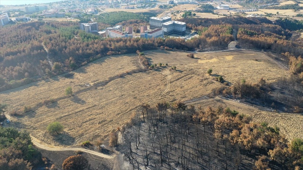 Anızı Toprağa Karıştırmak Orman Yangınlarını Yavaşlatıyor — ÇOMÜ'den Uyarı