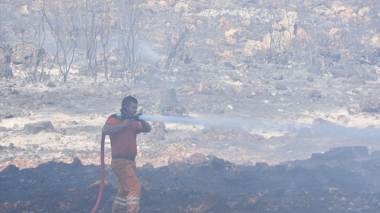Antalya Kepez'te Orman Yangını Kontrol Altına Alındı