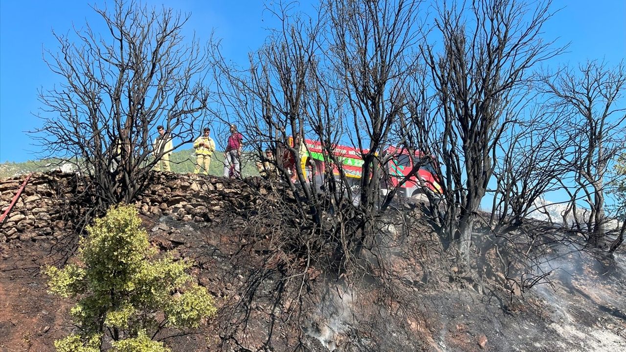 Antalya Kumluca'da Orman Yangını Kontrol Altına Alındı