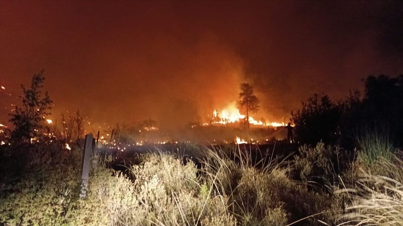 Antalya Serik'te Tarım Arazisinden Ormanlık Alana Sıçrayan Yangın Söndürüldü