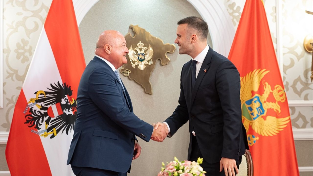 Avusturya Karadağ'a 100 Personel Gönderecek: Orman Yangınlarına Destek ve 10 Milyar Avro Anlaşma