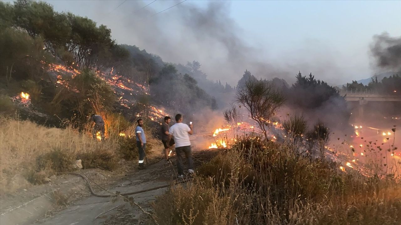 Aydın'da Otoyoldaki Kamyonda Çıkan Yangın Ağaçlığa Sıçradı, Söndürüldü
