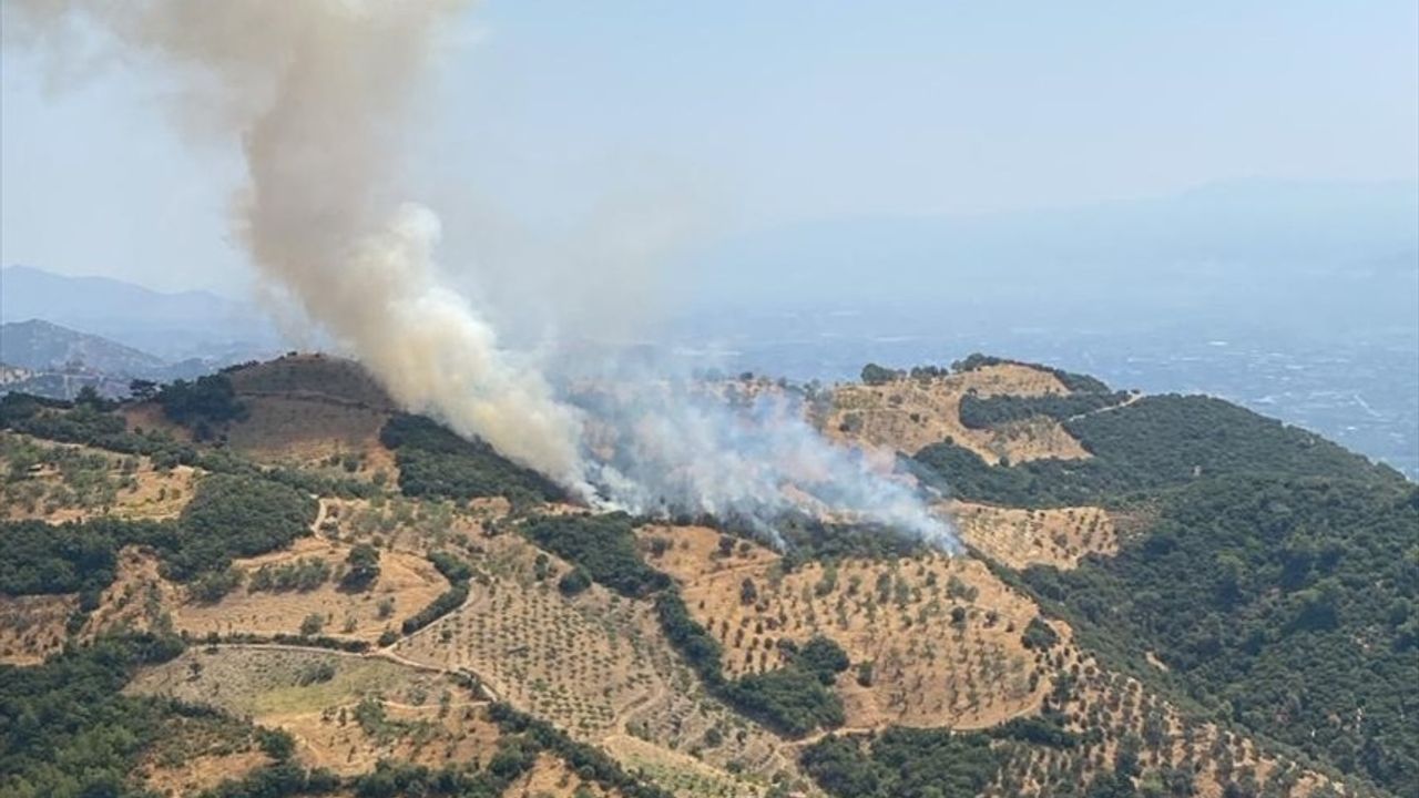 Aydın'daki Tarım Arazisi Yangını Gelin Esrarengiz Nedenlerle Gündemde