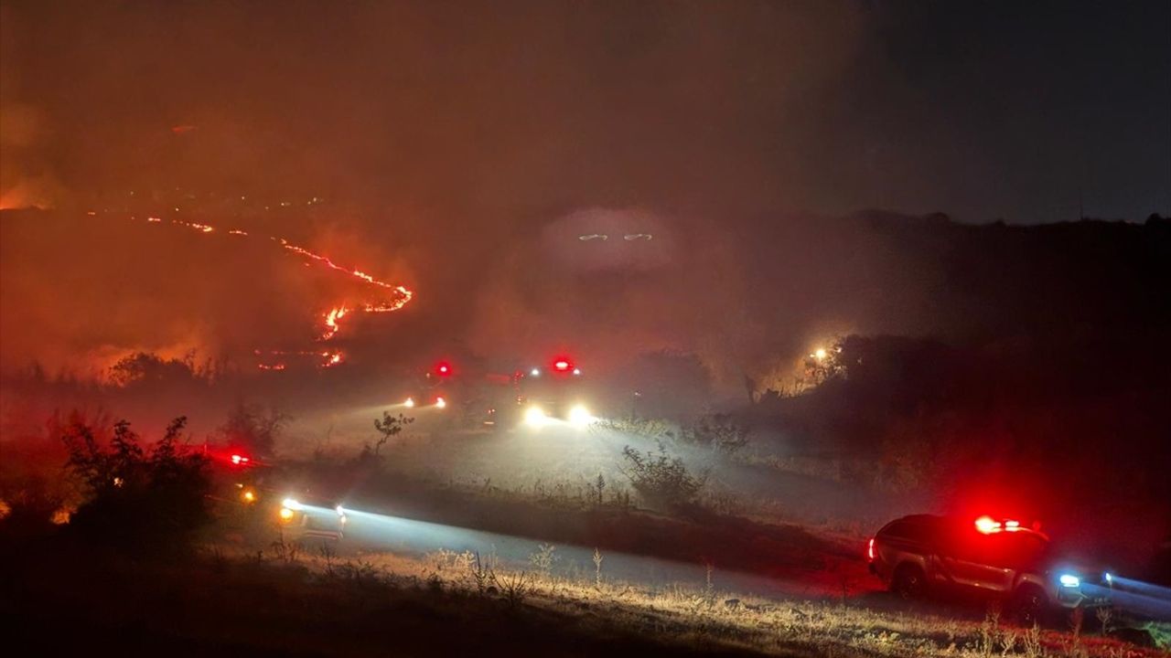 Balıkesir'de Otluk ve Makilik Yangın Kontrol Altına Alındı