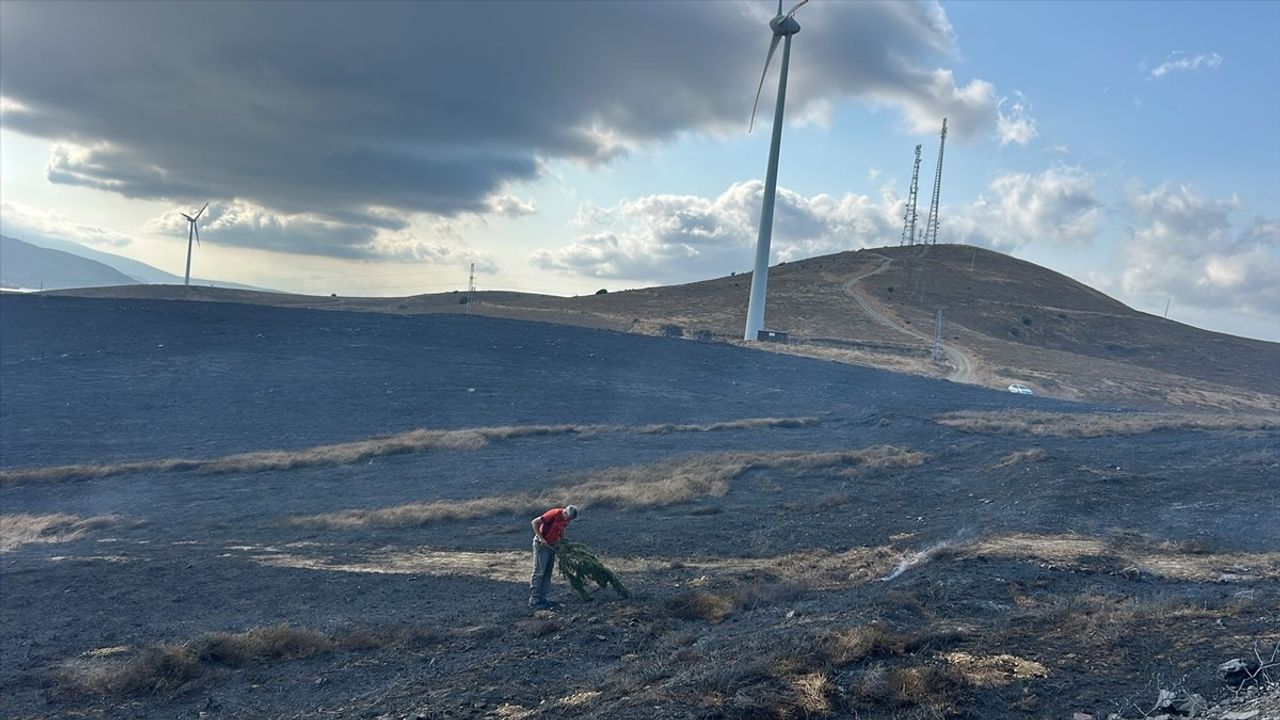 Balıkesir'in Paşalimanı Adası'ndaki Yangın Kontrol Altına Alındı
