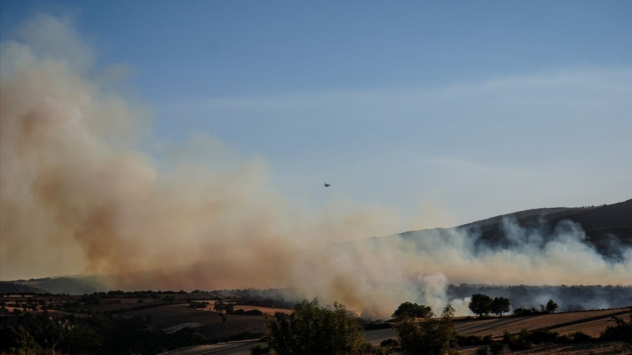Balıkesir Susurluk'ta Orman Yangını: Havadan ve Karadan Müdahale Sürüyor