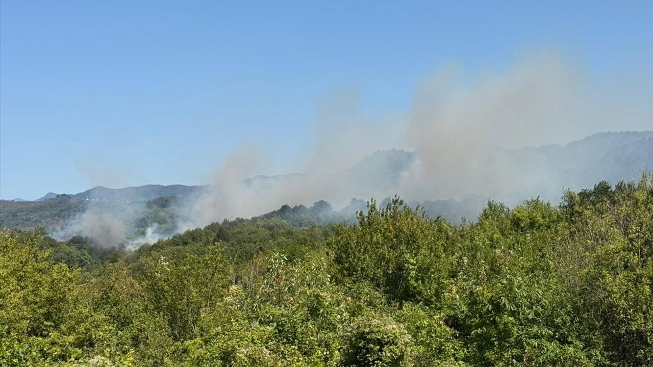 Bartın Amasra'da Orman Yangını Kontrol Altına Alındı