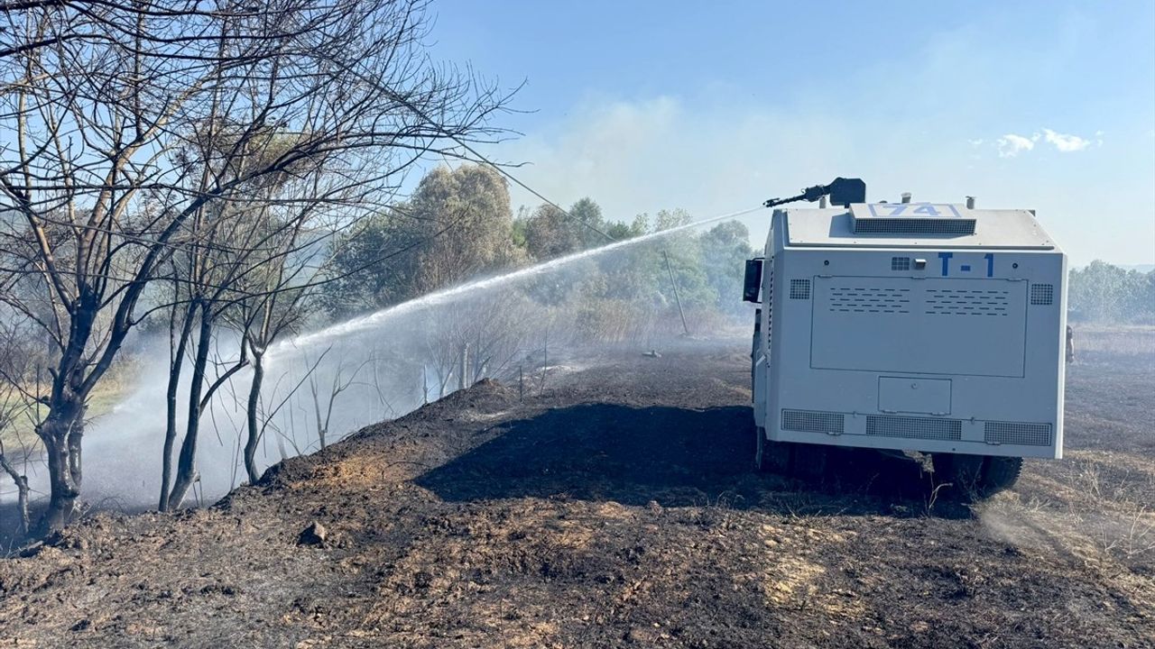 Bartın'da Anız Yangını Ağaçlık Alana Sıçradı — 6 Ev Tahliye Edildi