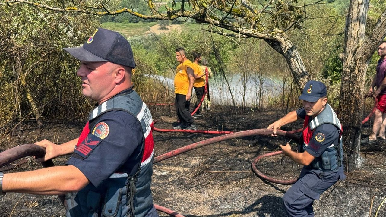 Bartın'daki Anız Yangını Kontrol Altına Alındı