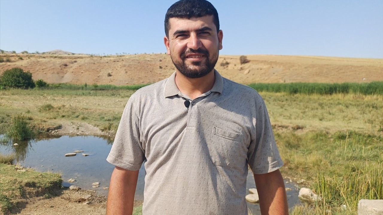 Batman'da Fıstık Üreticileri, Yetersiz Yağışlar Nedeniyle Sulama Mesaisinde