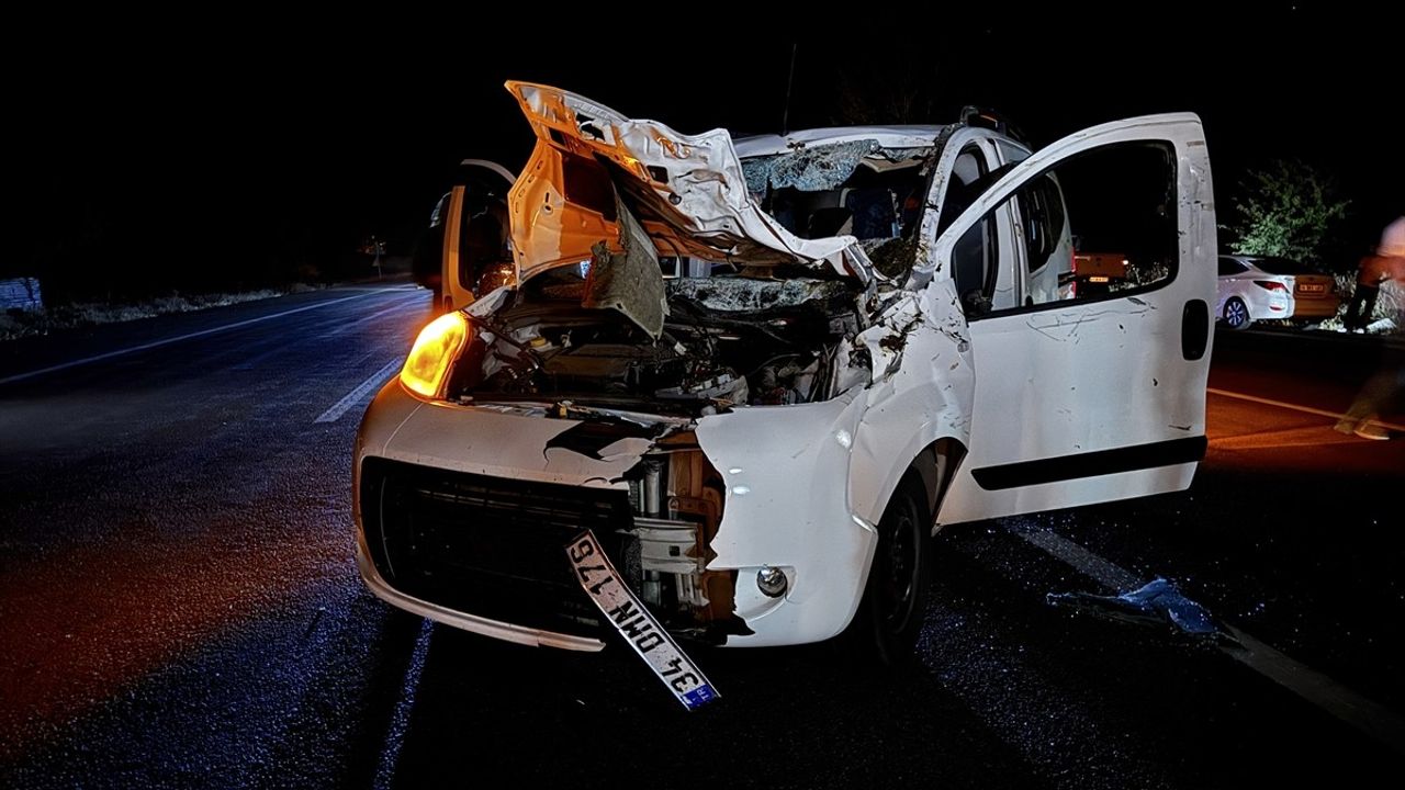 Bingöl Karlıova'da hafif ticari araç ata çarptı: 1 ölü