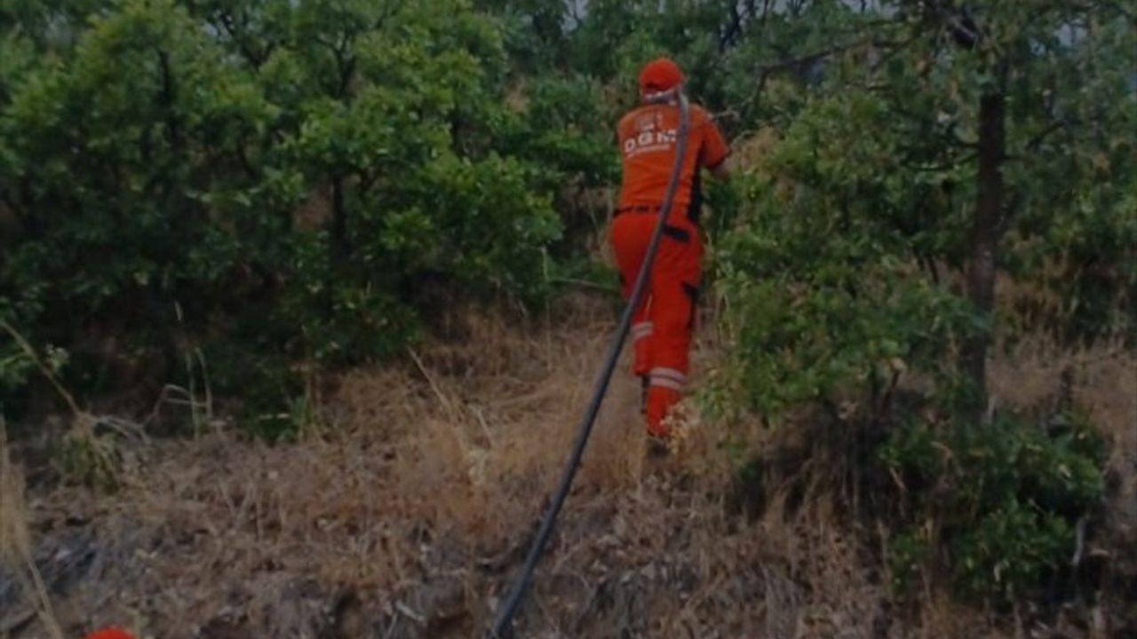 Bingöl Kiğı'da Orman Yangını Söndürüldü — Müdahale Detayları