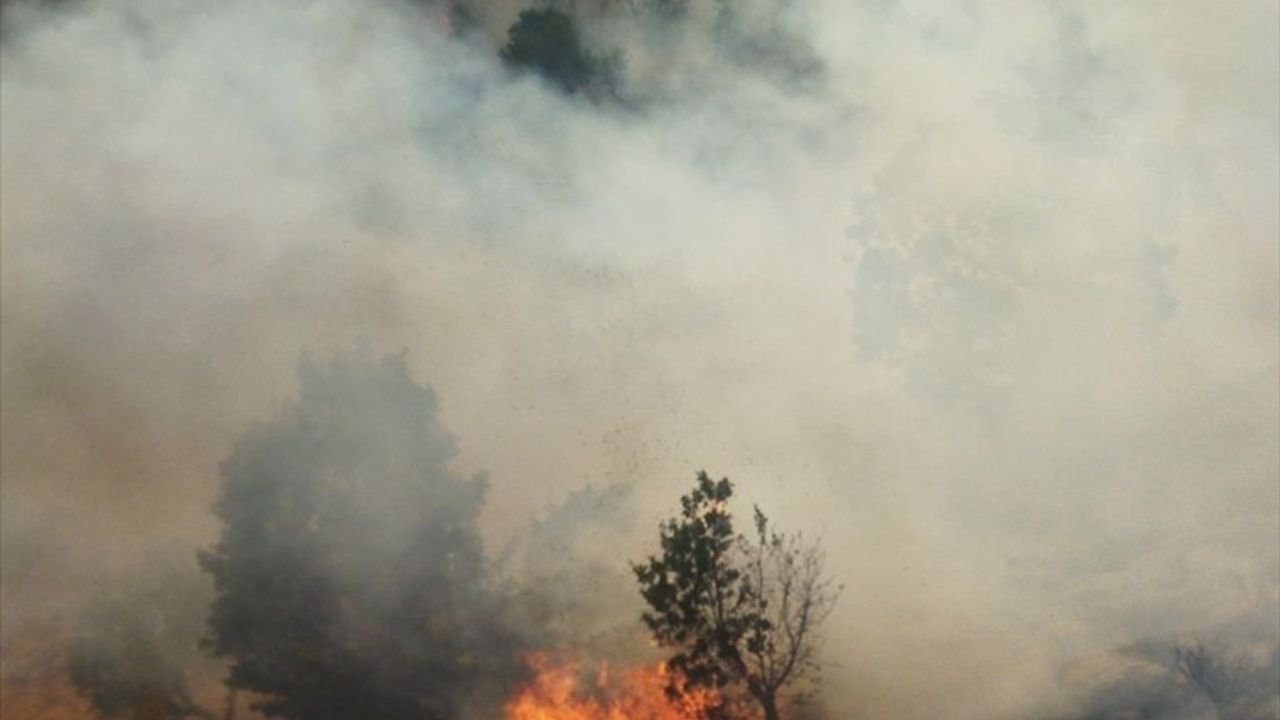 Bingöl'ün Genç ilçesinde orman yangını: Ekipler müdahale ediyor