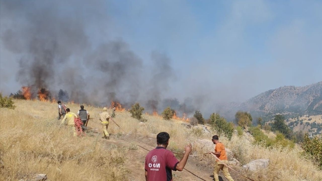 Bingöl'ün Genç ilçesinde orman yangını kontrol altına alındı