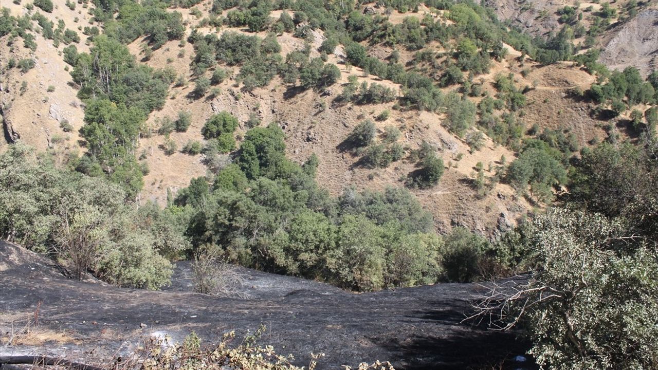 Bitlis Hizan: Yelkıran'da Ağaçlık Alanda Yangın Söndürüldü