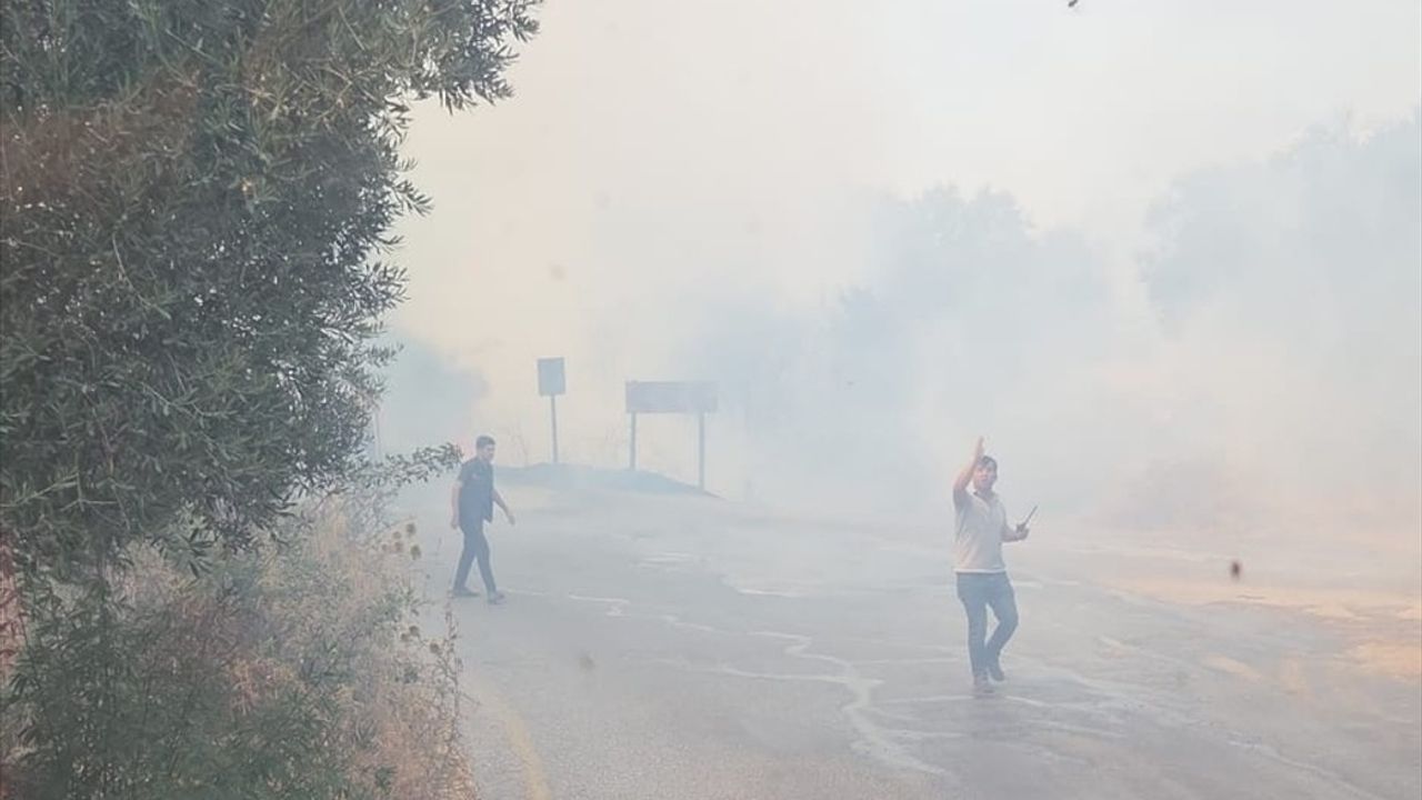 Bodrum'da Zeytinlik ve Otluk Yangını Söndürüldü