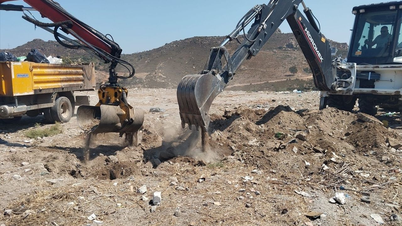 Bodrum Sahilinde Ölü Yunus Bulundu