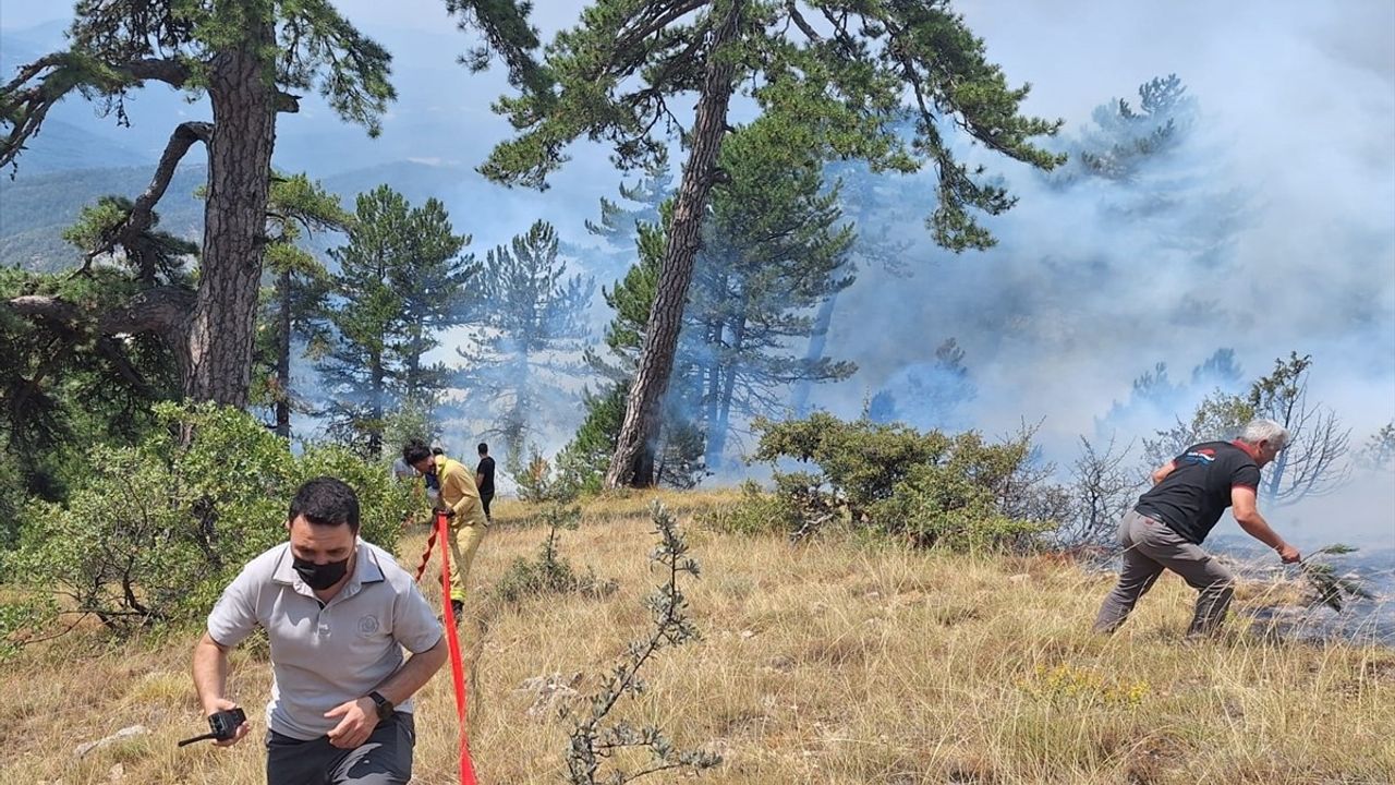 Bolu'da Orman Yangını Hızla Kontrol Altına Alındı