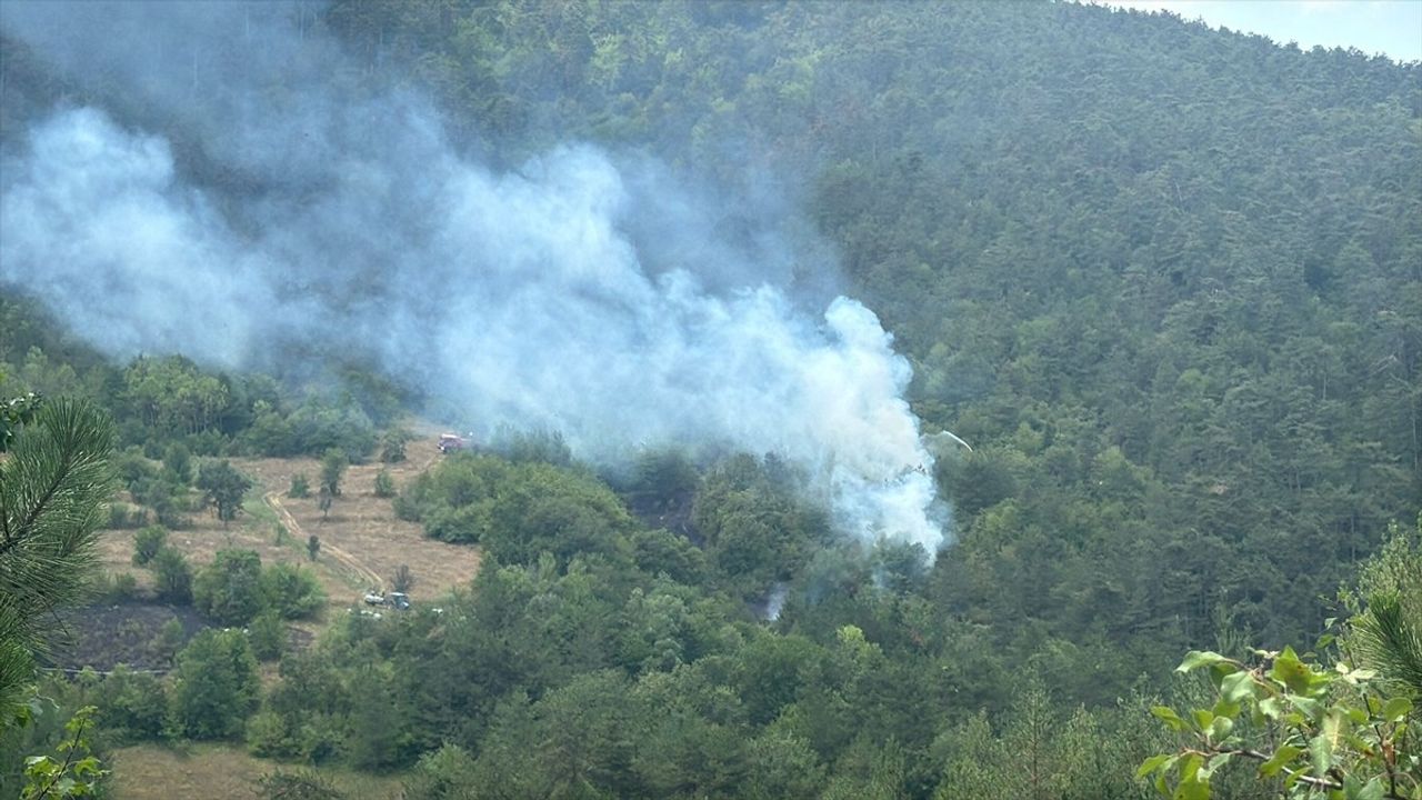 Bolu'da Orman Yangını Kontrol Altına Alındı