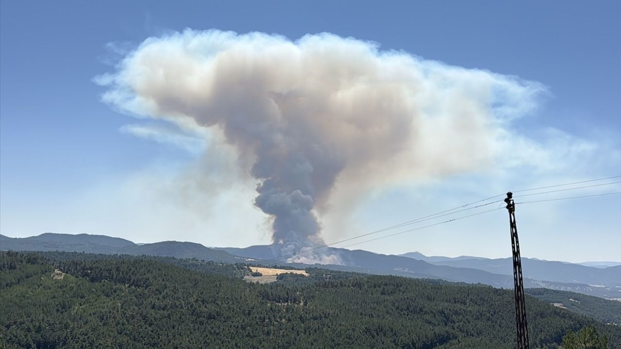Bolu'da Orman Yangını: Müdahale Devam Ediyor