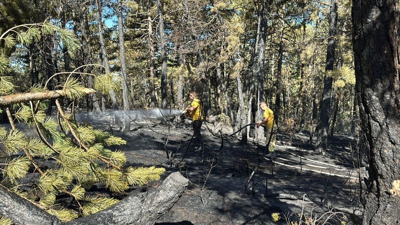 Bolu'daki Orman Yangını Kısmen Kontrol Altında