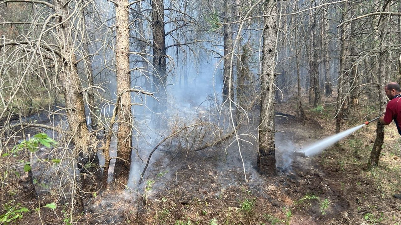 Bolu Mengen'de Orman Yangını Kontrol Altında — Soğutma Çalışmaları Sürüyor