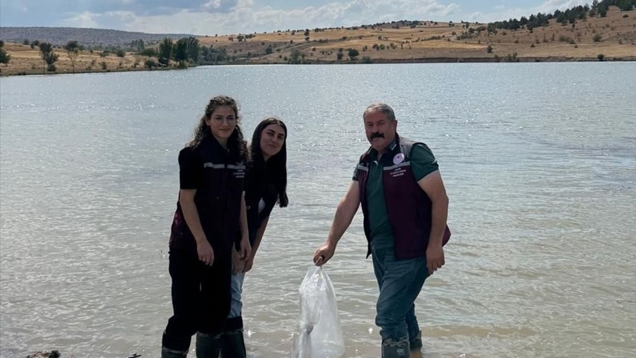 Bozoğlu Göleti ve Akhasan Barajı'na 320 Bin Sazan Yavrusu Bırakıldı