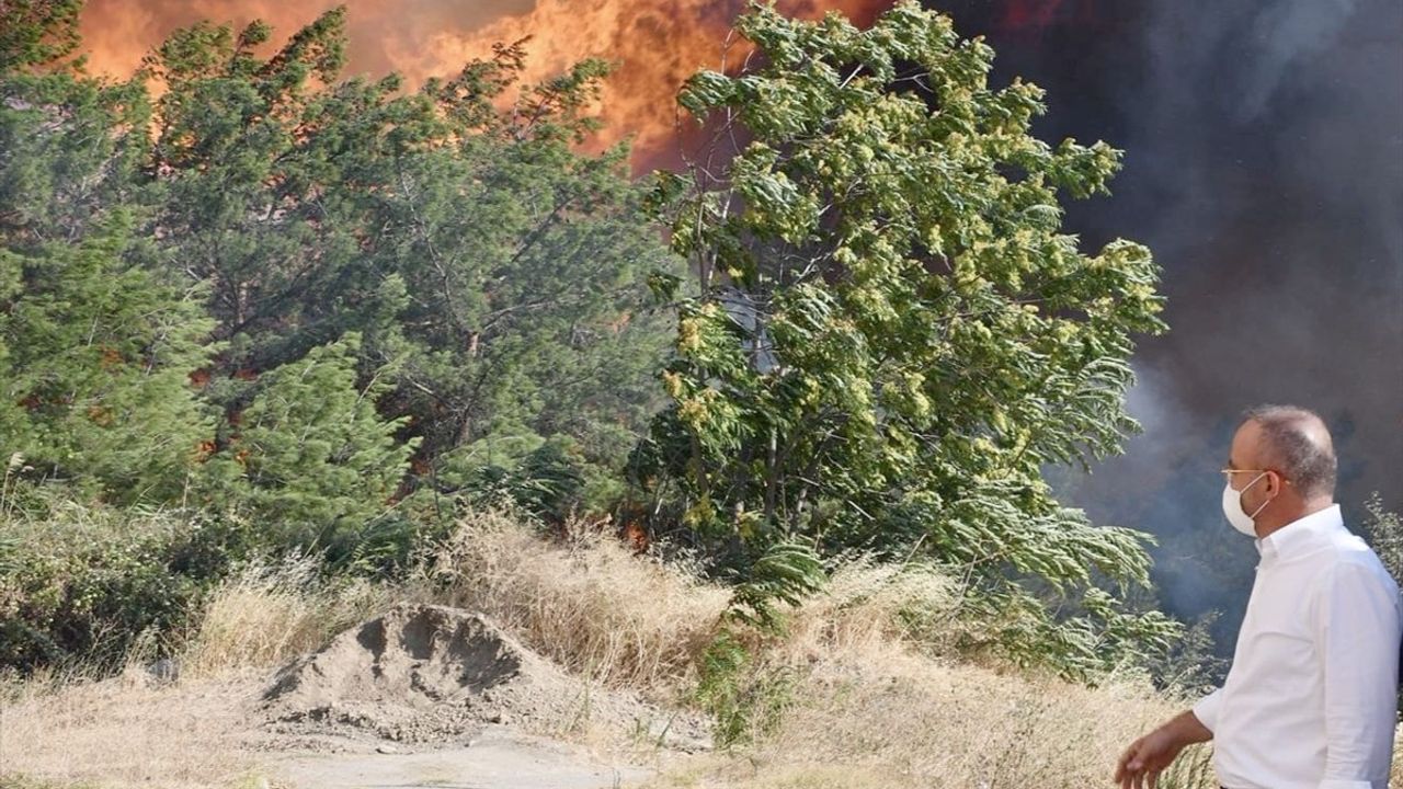 Bülent Turan Çanakkale'de Yangın Bölgesinde İnceleme: 'İmara Açılacak' İddialarına Tepki