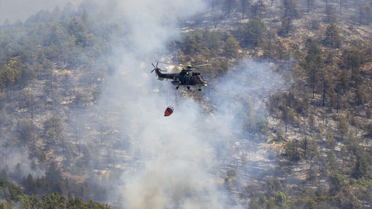 Bulgaristan'da Sakar Dağı'nda 30 Bin Dönümlük Yangınla Mücadele Devam Ediyor