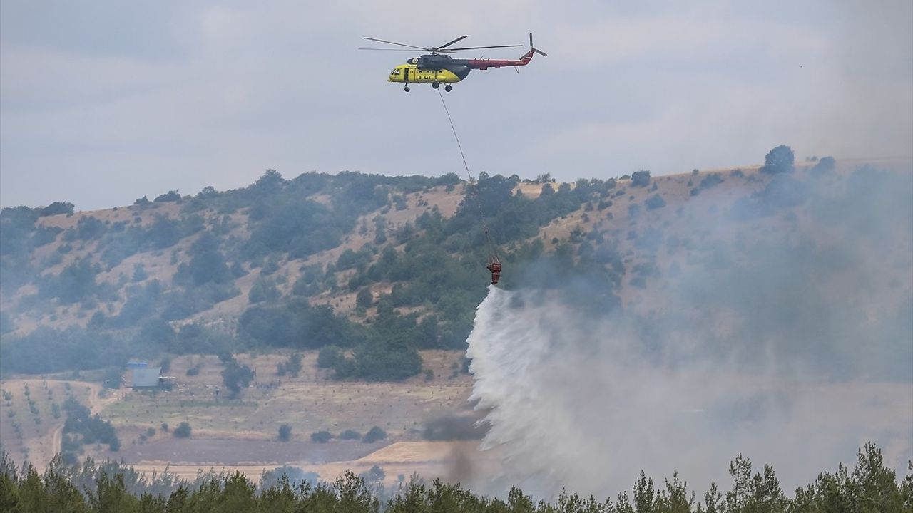 Bursa'da Orman Yangını Kontrol Altına Alındı