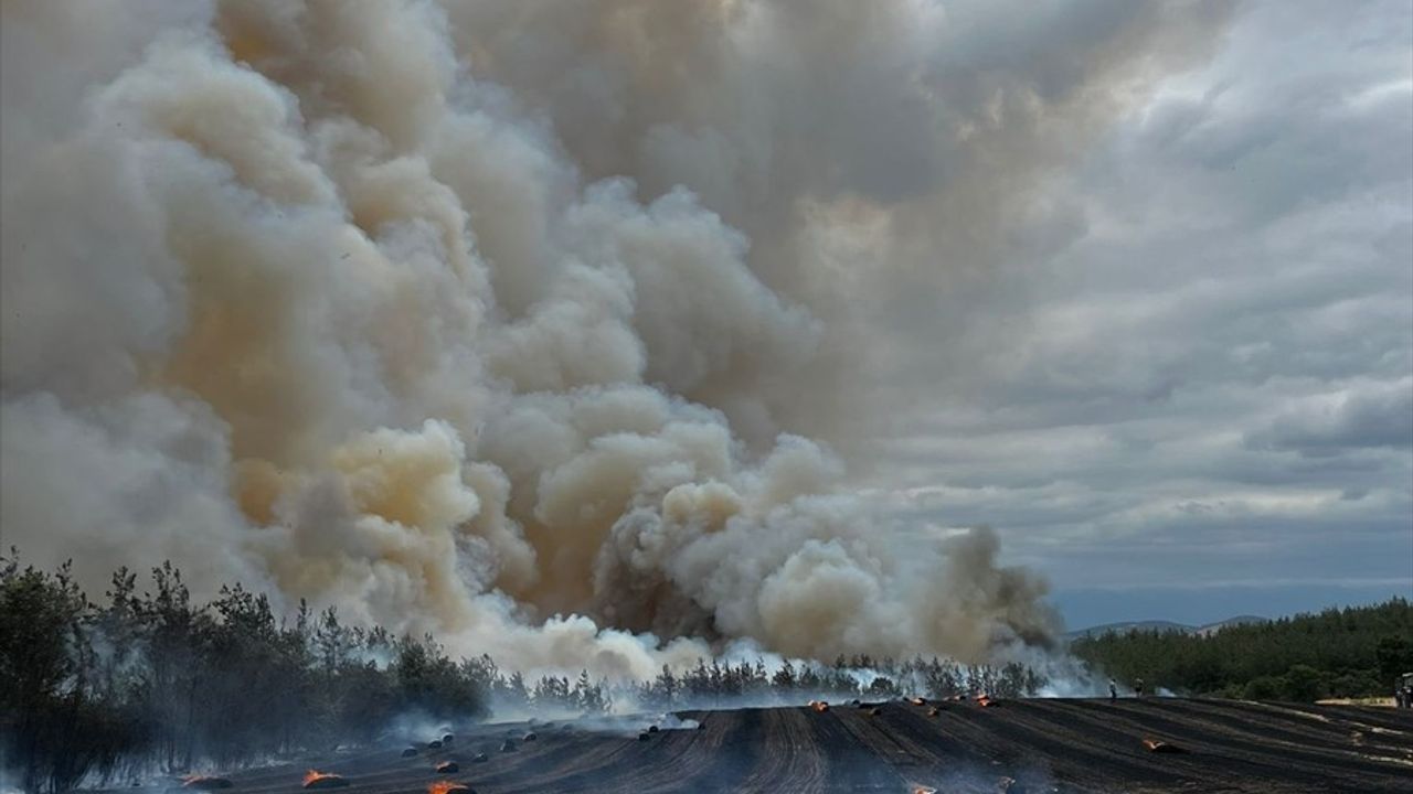 Bursa'da Orman Yangınına Havadan ve Karadan Müdahale