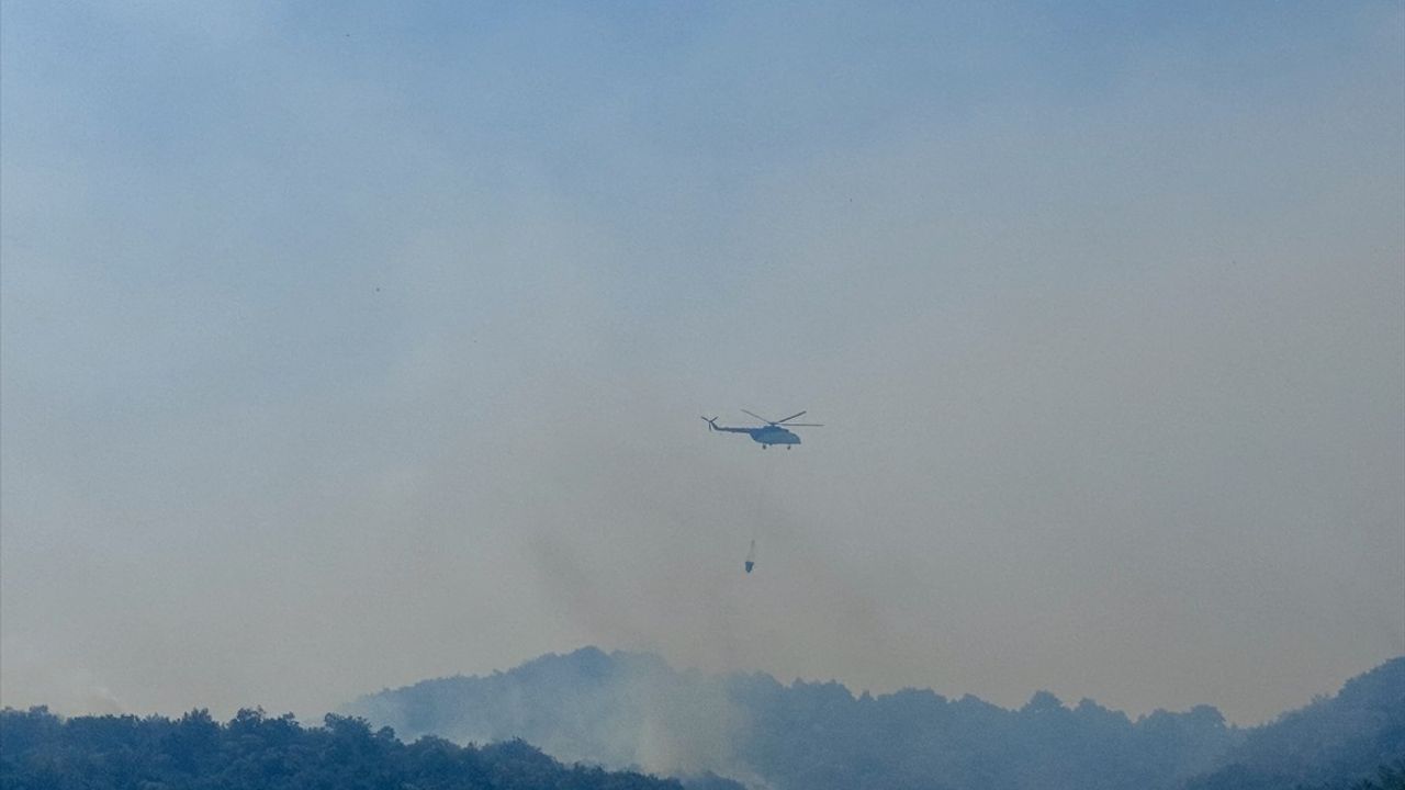 Bursa İznik'te makilik yangınına havadan ve karadan müdahale