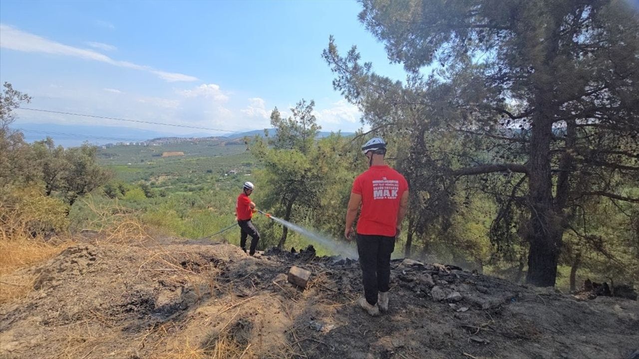 Bursa Mudanya'da Orman Yangını Kontrol Altına Alındı
