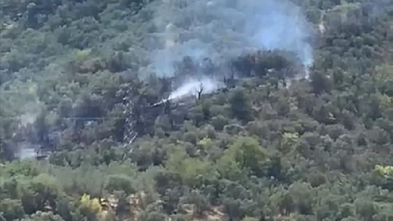 Bursa Mudanya'da Zeytinlik Yangını Söndürüldü: 4 Dönüm Zarar