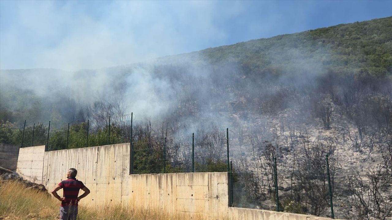 Bursa Orhangazi'de Makilik Yangın Söndürüldü