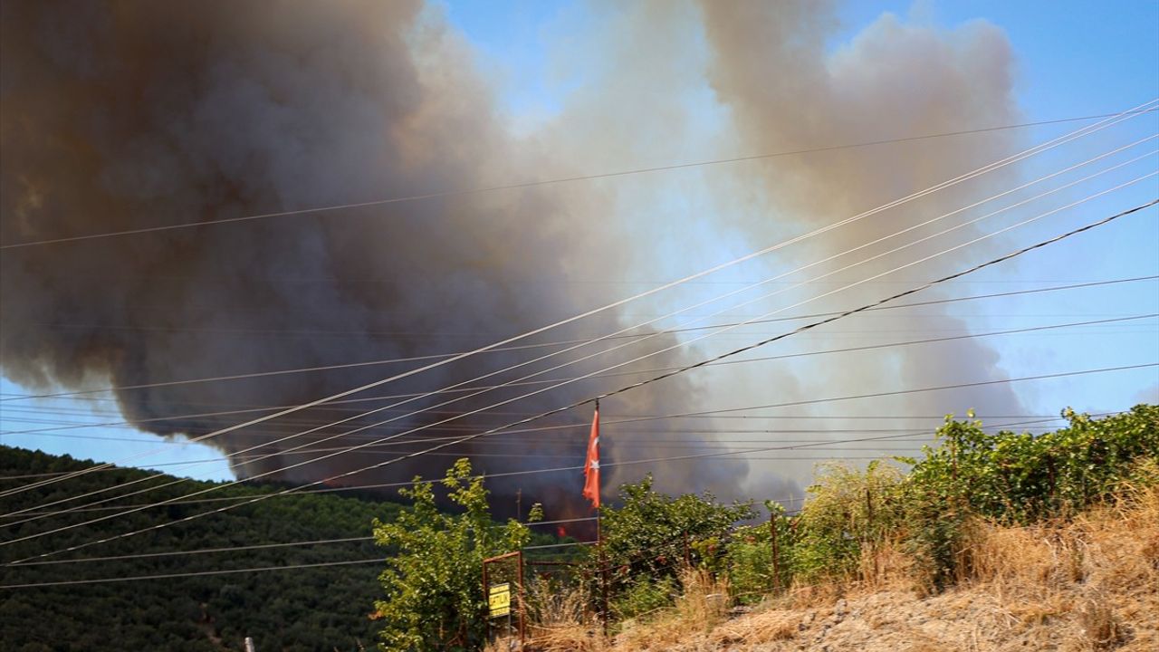 Bursa Yenişehir'de Orman Yangını: Hava ve Kara Ekipleri Müdahale Ediyor