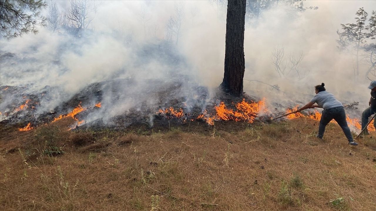 Çanakkale Ayvacık Çaltıköy'de Orman Yangınına Havadan ve Karadan Müdahale