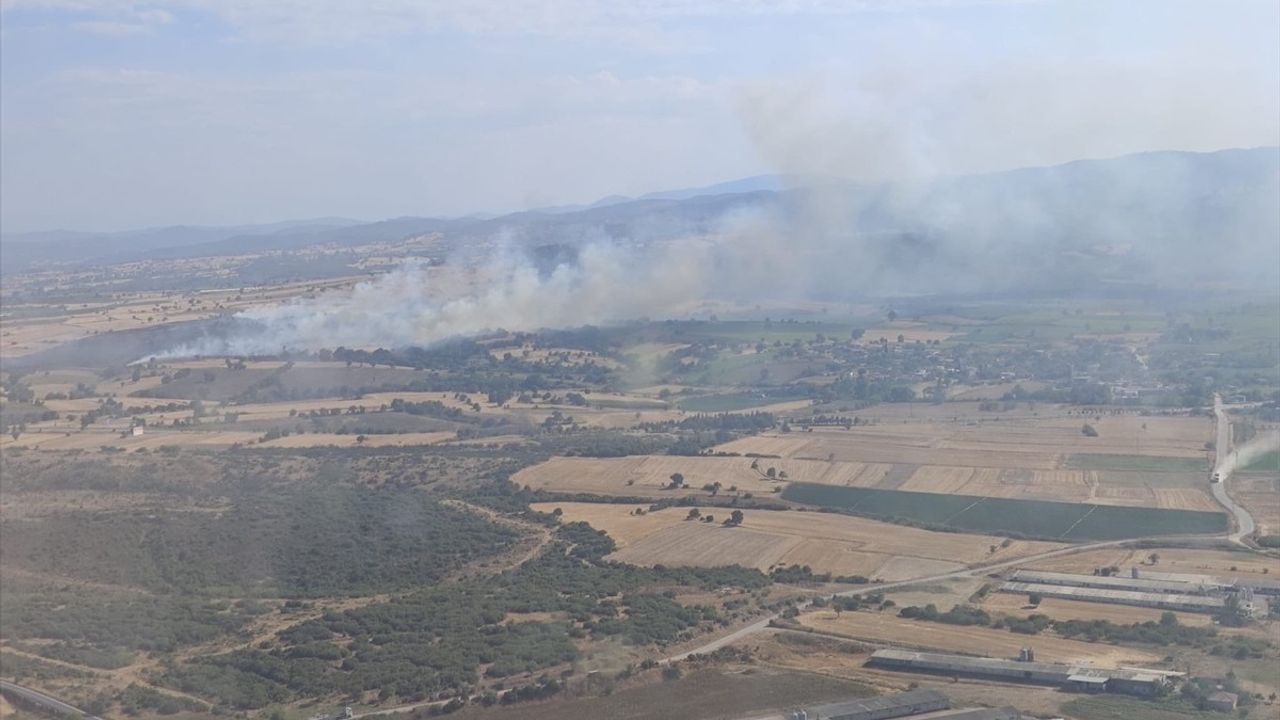Çanakkale'de Orman Dışı Yangın Kontrol Altına Alındı