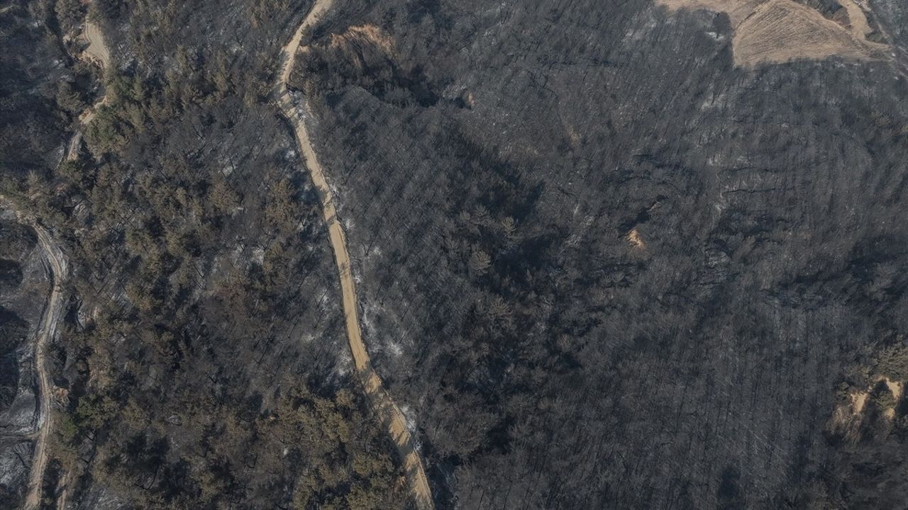 Çanakkale'de Orman Yangını Dronla Görüntülendi