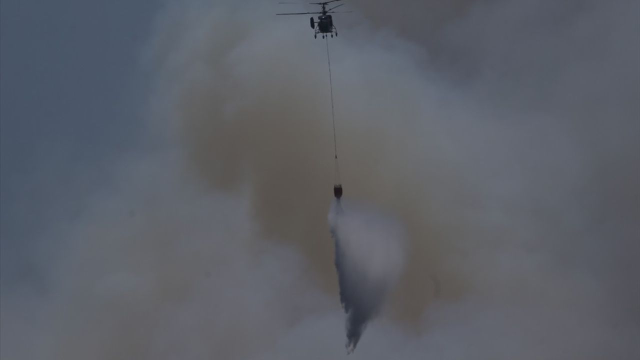 Çanakkale'de Orman Yangınına Hızla Müdahale Ediliyor: Boğaz Trafiği Kapandı